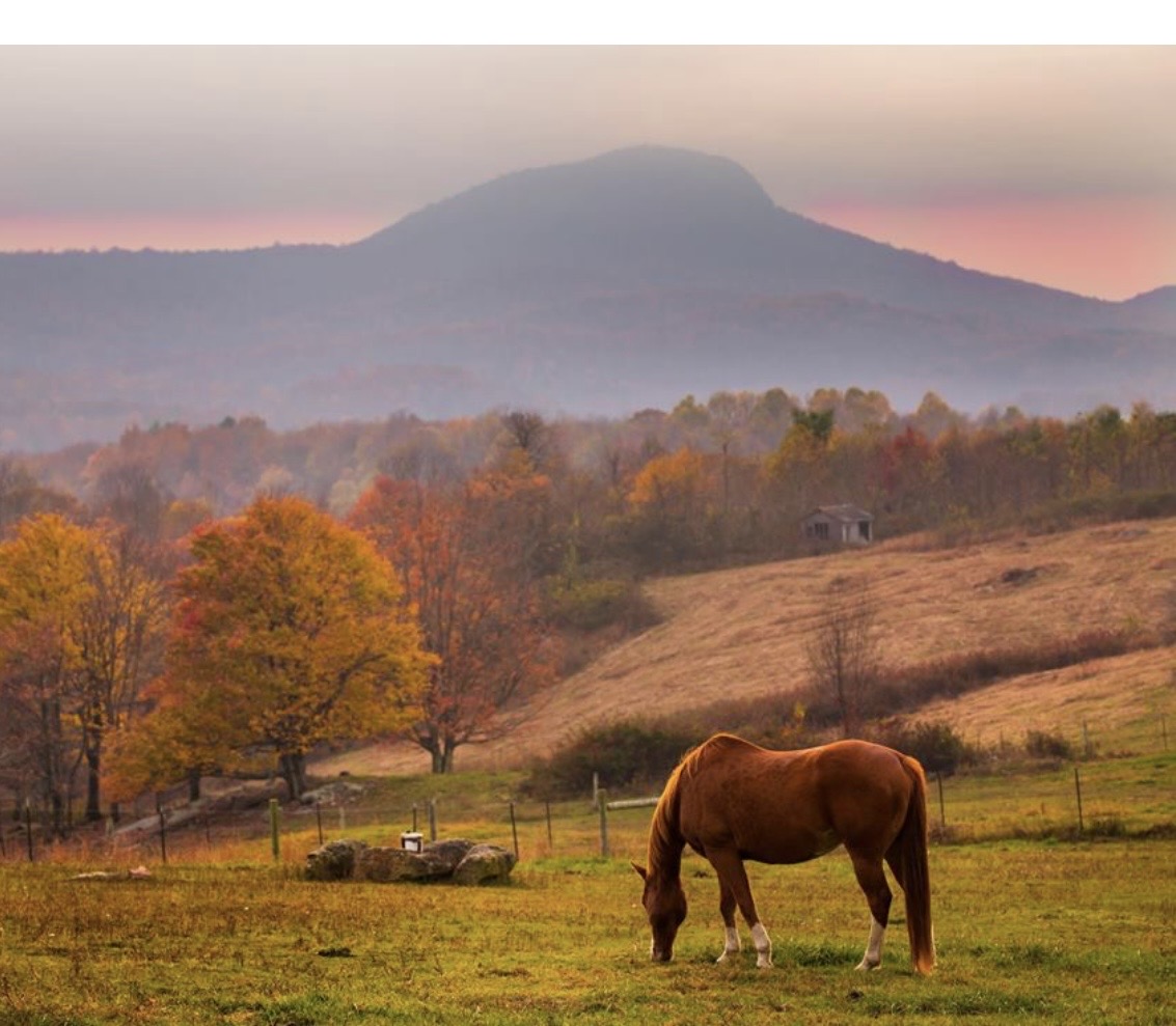 Wide aerial view of Floyd County pastures, winding roads, and Blue Ridge ridgelines