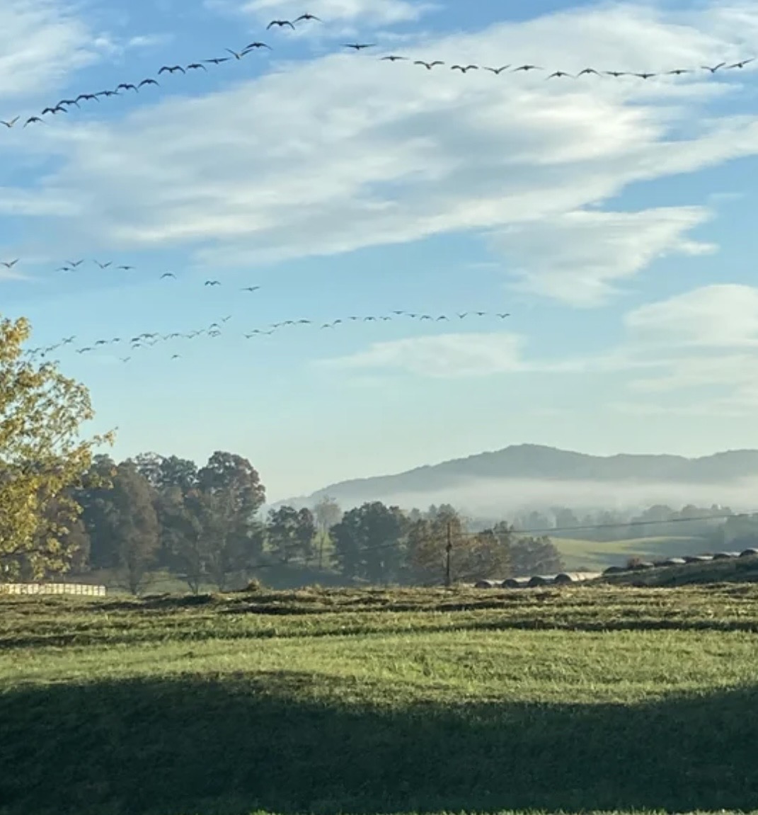 Wide view of rural Riner farmland, scattered homes, and rolling Montgomery County hills